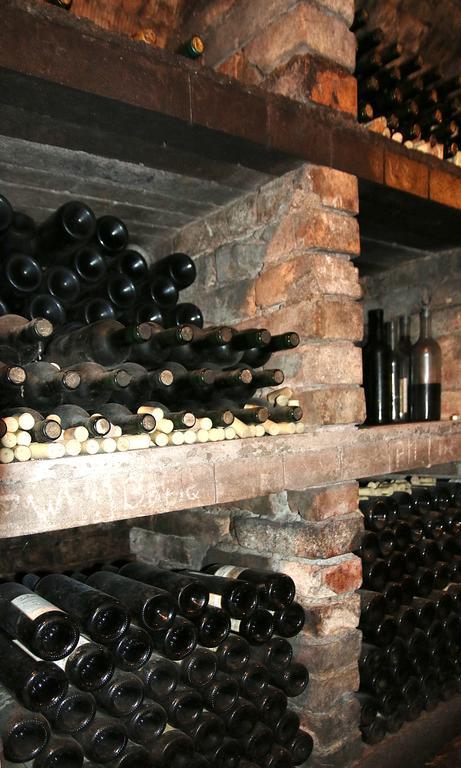 Penzion a restaurace U Hroznu Velké Bílovice Esterno foto